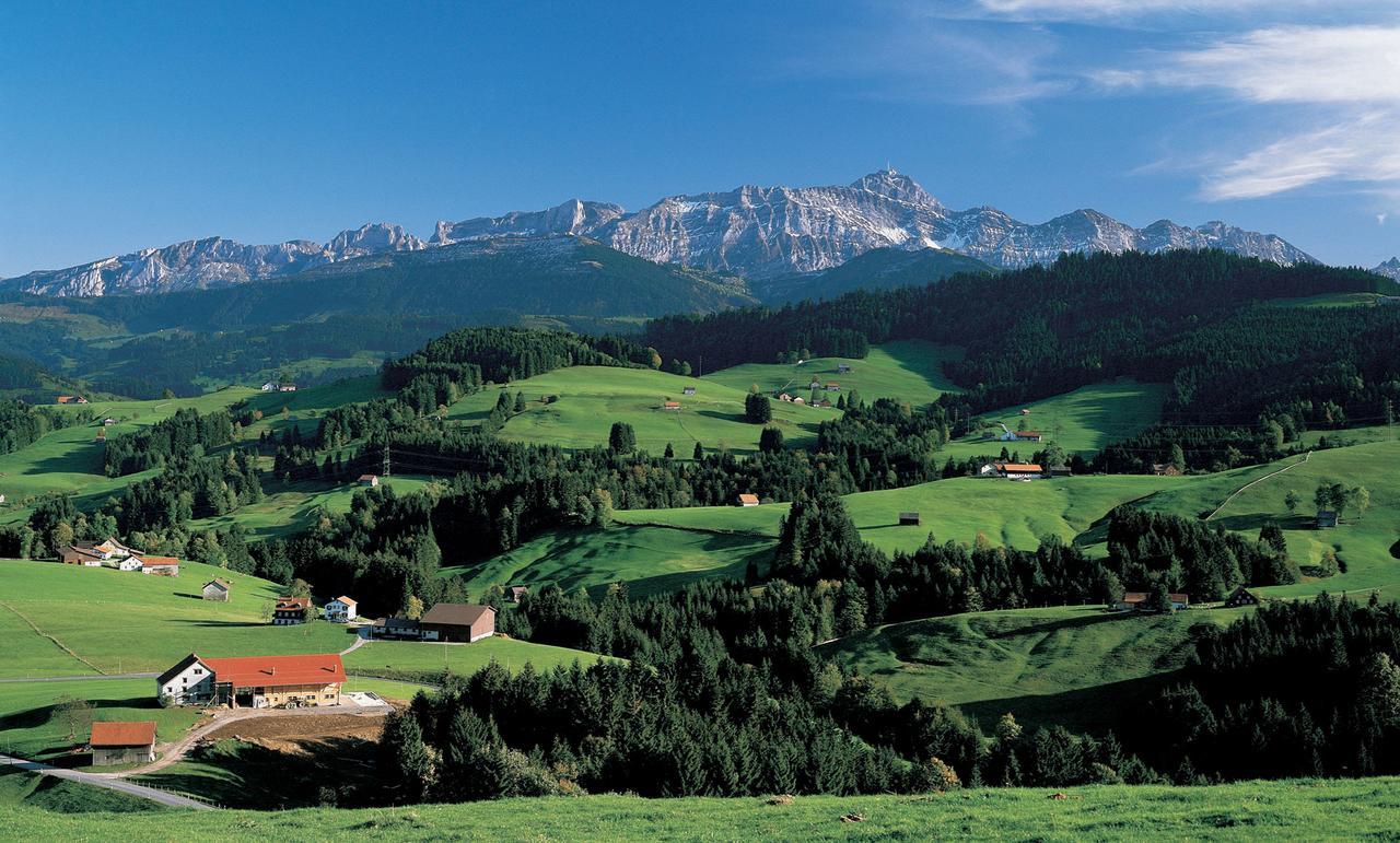 Hotel Landhaus Saentis Герізау Екстер'єр фото